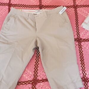 Capri Pants for Women